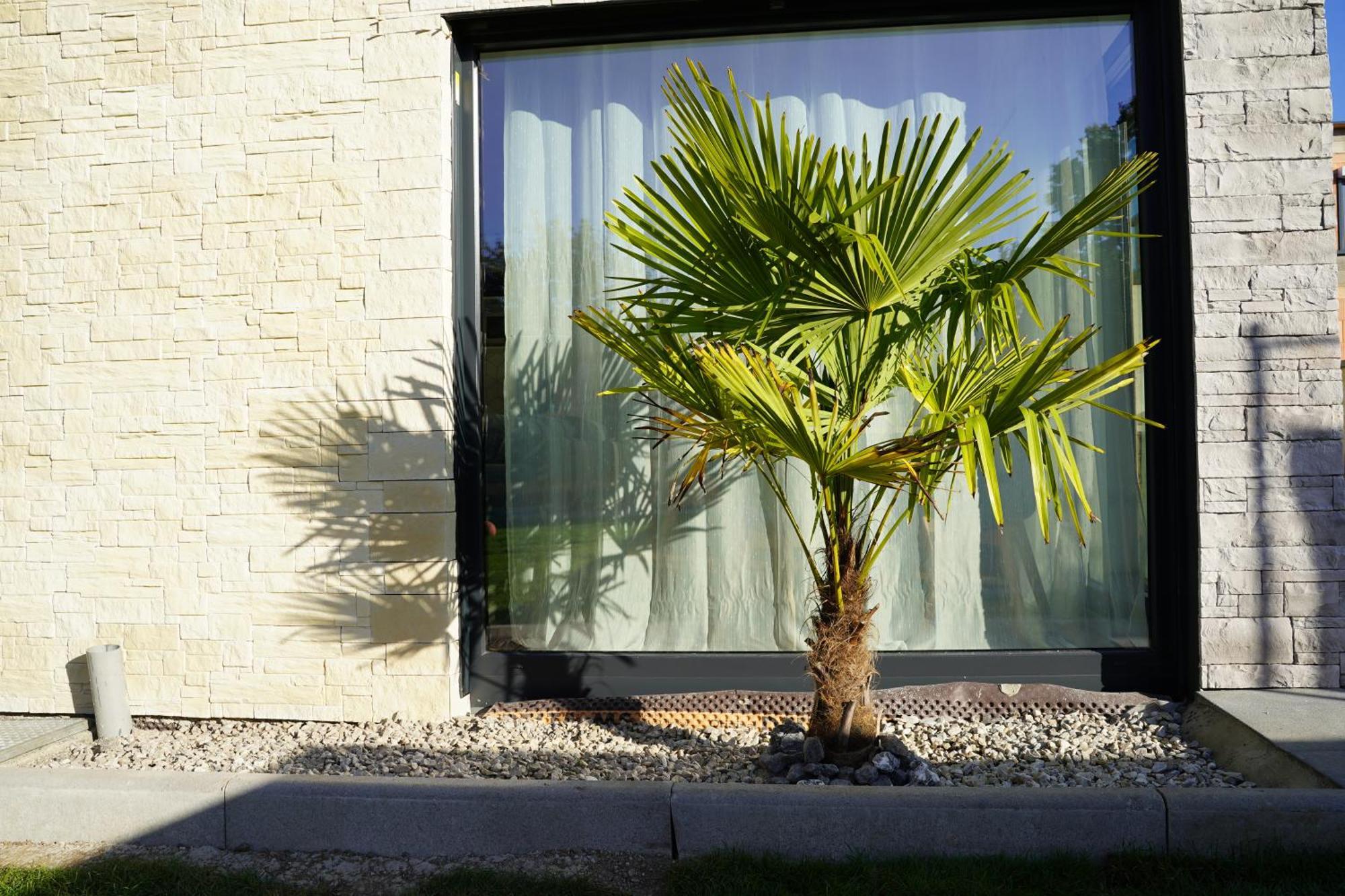 Villa Tiny House Turckheim Exterior foto